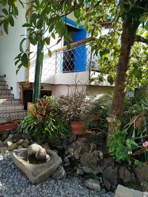 a garden with plants and a tree and a building at Patio Chic in Jericó