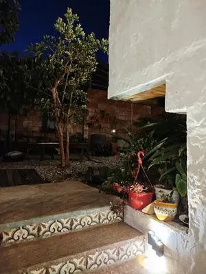 a couple of potted plants sitting on some stairs at night at Patio Chic in Jericó