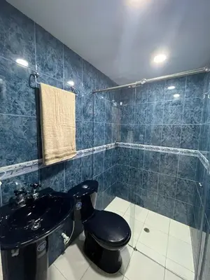 a bathroom with a black toilet and a sink at Agua Clara Apartamento in San Rafael