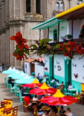 a group of tables and umbrellas with people sitting under them at Apartamento nuevo en primer piso in Jardin