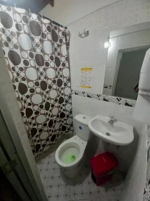a bathroom with a toilet and a sink at Habitación doble, con desayuno - La Casona Hotel in La Pintada