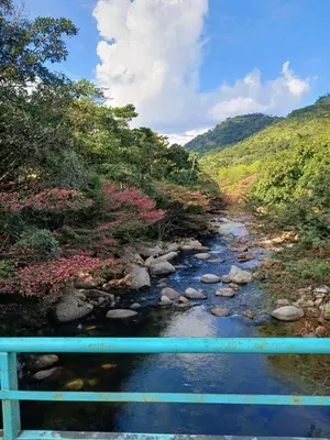 a bridge over a river with rocks and trees at OSIMiRI JAMAICA II-Piscina, naturaleza mágica in San Rafael