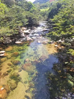 a river in the middle of a forest at OSIMiRI JAMAICA II-Piscina, naturaleza mágica in San Rafael