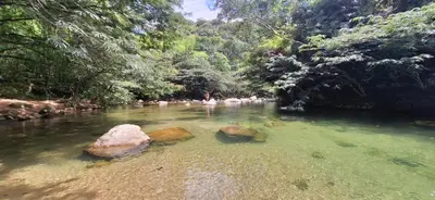 a river with rocks in the water in a forest at OSIMiRI JAMAICA II-Piscina, naturaleza mágica in San Rafael