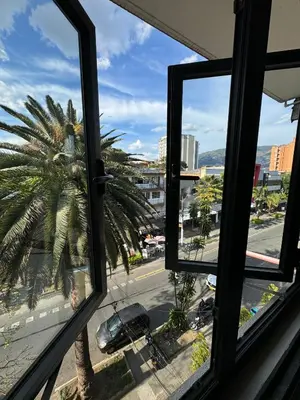 a view of a palm tree from a window at Casa RAPA La70 in Medellín