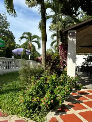 a garden with flowers and a white fence and palm trees at Hotel campestre París soleil in Mariquita