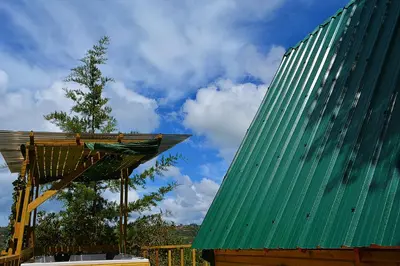 a green building with a tree in front of it at Cabaña Madre Selva in San Vicente