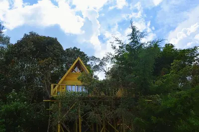 a tree house in the middle of the forest at Cabaña Madre Selva in San Vicente