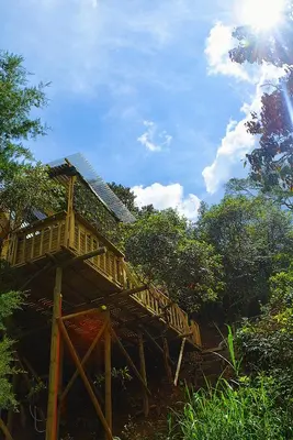 a tree house with a deck on a hill at Cabaña Madre Selva in San Vicente