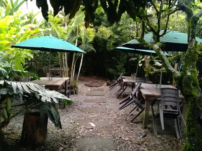 a group of tables and chairs with umbrellas at Hotel Colonial - Salamina Caldas in Salamina