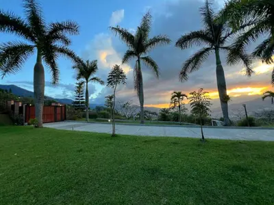 a group of palm trees in a park at sunset at Poblado Villa Great views Nature Jacuzzi Security in Medellín