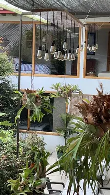 a group of lights hanging in a garden with plants at ATHOS hotel boutique B&B in Pensilvania