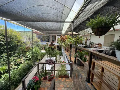a greenhouse filled with potted plants on a balcony at ATHOS hotel boutique B&B in Pensilvania