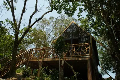 a tree house in the forest at RíoBosque Cabañas de lujo frente al rio desayuno incluido san carlos antioquia in San Carlos