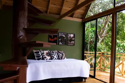 a bedroom with green walls and a bed with pillows at RíoBosque Cabañas de lujo frente al rio desayuno incluido san carlos antioquia in San Carlos