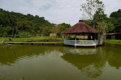 a gazebo in the middle of a body of water at RíoBosque Cabañas de lujo frente al rio desayuno incluido san carlos antioquia in San Carlos