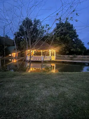 a bridge over a body of water at night at RíoBosque Cabañas de lujo frente al rio desayuno incluido san carlos antioquia in San Carlos
