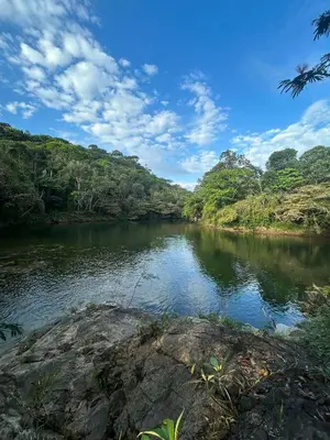 a river in the middle of a forest at RíoBosque Cabañas de lujo frente al rio desayuno incluido san carlos antioquia in San Carlos