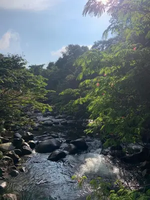 a river with rocks and trees on a mountain at RíoBosque Cabañas de lujo frente al rio desayuno incluido san carlos antioquia in San Carlos