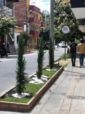 a street with three trees on the side of the road at Aparta estudio 202 - Casa Bendita in Medellín