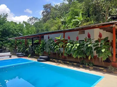 a house with a swimming pool and plants at Finca LA CASCADA in Mesa del Norte