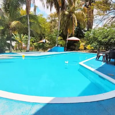 a blue swimming pool with chairs and palm trees at Hermoso Duplex campestre in Honda