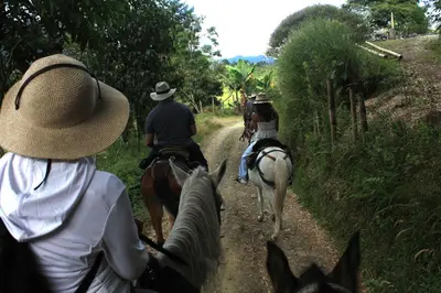 a group of people riding horses down a dirt road at Finca Carrizales in Jardin