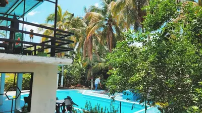 a view of a pool at a resort with palm trees at Siboney hotel in Honda