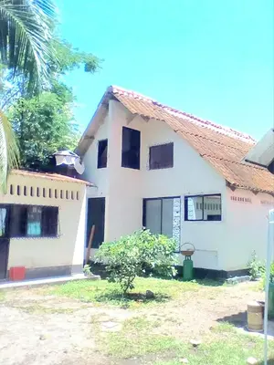 a white house with a palm tree in front of it at Siboney hotel in Honda