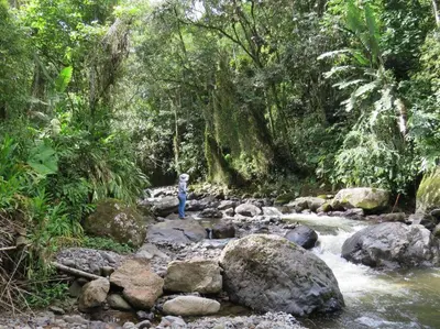 a person standing on rocks in a stream in a forest at Casa de Campo en Jardín Alojamiento Familiar in Jardin