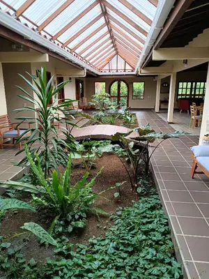 a patio with plants and a glass roof at Finca MonteSer in Jardin