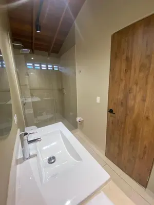 a bathroom with a white sink and a wooden door at Hotel La Vega in Concepción