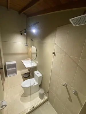 a bathroom with a toilet and a sink at Hotel La Vega in Concepción