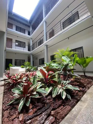 a building with a bunch of plants in a yard at Hotel La Vega in Concepción