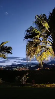 a view of a city with palm trees at Casa Campestre Bellavista in Villamaría