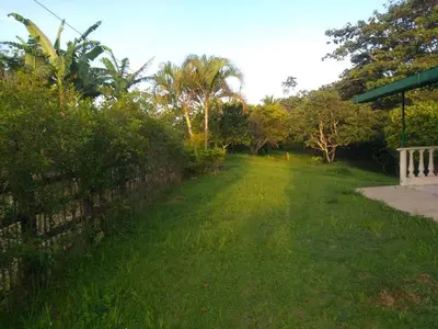 a grassy yard with a bench next to a fence at Rancho forest Victoria in Victoria