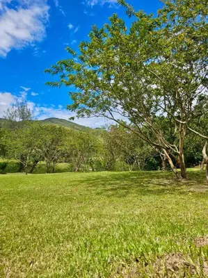 a tree in the middle of a field at Tranquilidad y Naturaleza Cabaña Concepción in Concepción