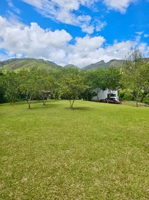 a field of green grass with trees and a house at Tranquilidad y Naturaleza Cabaña Concepción in Concepción