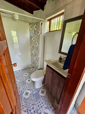 a bathroom with a toilet and a sink and a mirror at Tranquilidad y Naturaleza Cabaña Concepción in Concepción