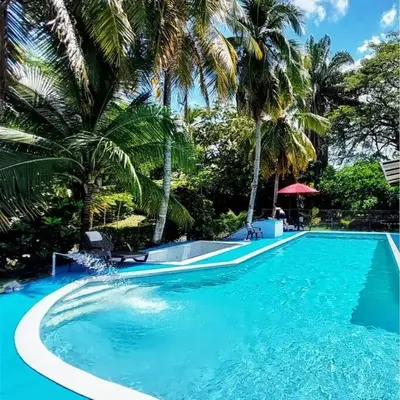 a large swimming pool with palm trees in the background at Hermoso Duplex campestre in Honda