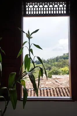 a plant in a window with a view of a roof at La Oculta Hostal in Jericó