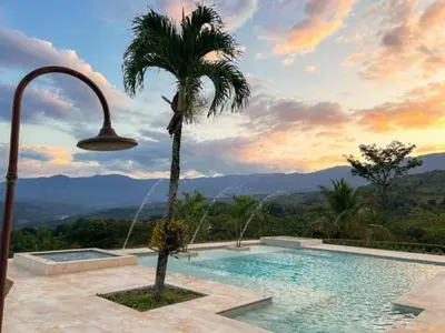 a palm tree and a swimming pool with a view at Fina Estampa Country Hotel - Mayores de 10 años in Támesis