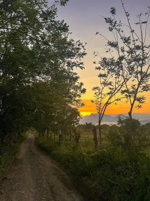 a dirt road with trees and a sunset in the background at Fina Estampa Country Hotel - Mayores de 10 años in Támesis