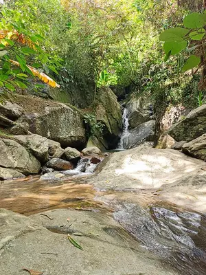 a stream of water with rocks and trees at Yarumito Finca Hotel l Cabaña Pensamiento in Barbosa