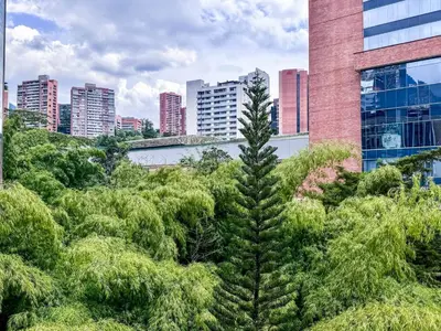 a pine tree in the middle of a city at 4BR 240 m² Fully Refurbished El Tesoro in Medellín