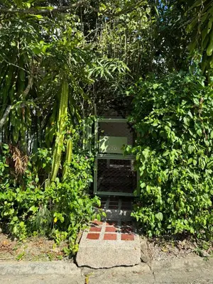 a microwave hidden in a hedge of trees at Acogedora cabaña en la Pintada in La Pintada