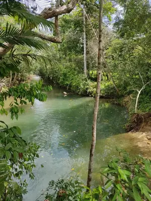 Gallery image of Casa Las Playas cerca de Hacienda Napoles in Puerto Triunfo