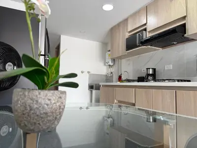 a kitchen with a plant in a vase at Nuevo cerca poblado 301 in Medellín