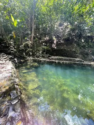 a pool of water in the middle of a forest at Cascadia in Cocorná
