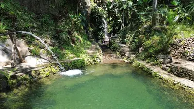 a small pool of green water in a forest at Cascadia in Cocorná